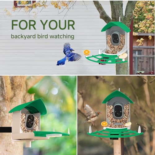 MIXUMON Smart Bird Feeder with Camera, AI Identify Bird Breed, Auto Capture Bird Watching, Solar-Powered WiFi 1080P Live Camera, Motion Detection, Cloud and SD Card Storage (Style 1 - Green)