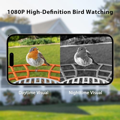 Birdkiss Smart Bird Feeder with Camera Solar, Auto Capture Bird Videos & Motion Detection, Bird Watching Camera Notify in Time, Metal Bird Feeder with Seed Guard, Ideal Present for Bird Lover (Orange)