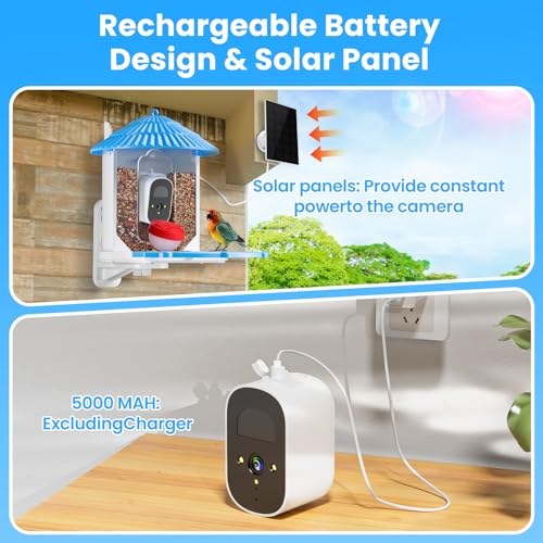 WISHBETY Smart Bird Feeder with Camera Solar Powered,AI Recognition Bird Feeder 1080P HD Real-Time,Auto Capture Bird Videos & Instant Notifications,Real Ideal Gift for Bird Lover