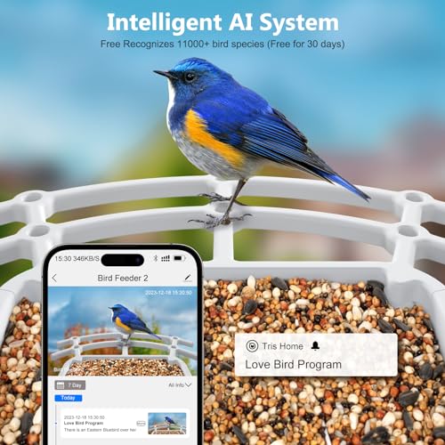 Bird Feeder with Camera Solar Powered, Outdoor Smart Bird Feeder, 4 MP HD Auto Capture Bird Videos, Real Time Views and Notifications, Ideal Gift for Christmas