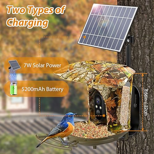 Lollyes Smart Bird Feeder with Camera Outdoor,1080P HD AI Identify Wild Bird Watching Camera with Solar Panel, Bird Feeder with Camera for Outdoor, Ideal Gift for Bird Lovers