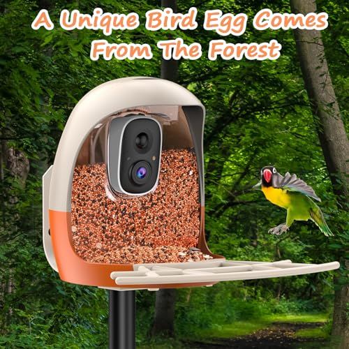 AUXCO Bird Feeder with Camera, Smart Bird Feeder Camera with AI Identify, 4K Ultra HD Camera, Auto Capture Bird Videos & Instant Notification, Attract a Variety of Birds, Ideal Gift for Children’s Day