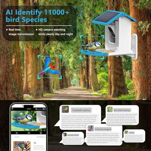 Holldoor Smart Bird Feeder with Camera Wireless Outdoor, Solar Powered Bird Watching Camera Feeder Motion Activated HD Video Live, AI Recognition Bird House with Camera (Blue)
