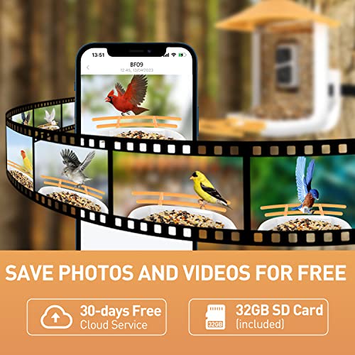 SOLIOM® BF09 Bird Feeder with Camera Wireless Outdoor,Smart Bird Feeder Camera with AI Identify Bird Species,Backyard Bird Watching Gift for Christmas,Auto Record Bird Video,Instant Notifications