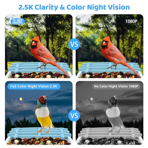 Smart Bird Feeder with Camera,𝗖𝗶𝗞𝗶𝗞𝗪𝗫𝗢 Solar Bird Feeder Outdoor Wireless,AI Identify Bird Breed,Solar Powered WiFi 2.5K Live Camera,Remote Monitoring,Motion Detection,SD Card & Cloud Storage