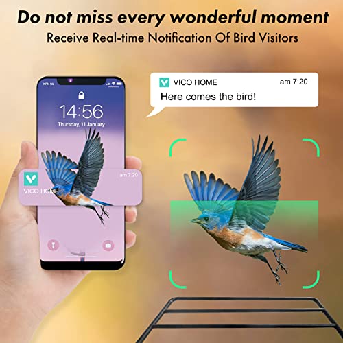 Bird Feeder with Camera,Smart Bird Feeder Camera Auto Capture Birds and Notify,IP65 Rainproof 1080P HD Full Color Night Vision Bird House Camera,Free 32G SD Card, Ideal Gift for bird lovers