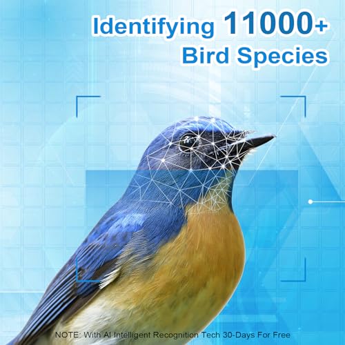 AUXCO Bird Feeder Camera, 4K High Resolution Smart Bird Feeder with Camera for Bird Watching, Color Night Vision, AI Identify 11000+ Species, Auto Capture Notify, Solar Powered, Gift for Bird Lovers