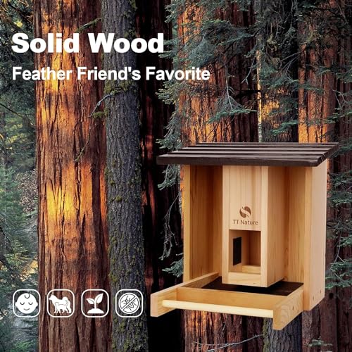 TT Nature Bird Feeder with Camera, Upgraded Smart Bird Feeder with Solar Powered, AI Identify for 10000 Plus Bird Species, Auto Capture Bird & Real-time Notifications, Ideal Gift for Bird Lovers