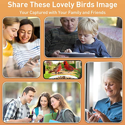 SOLIOM® BF09 Bird Feeder with Camera Wireless Outdoor,Smart Bird Feeder Camera with AI Identify Bird Species,Backyard Bird Watching Gift for Christmas,Auto Record Bird Video,Instant Notifications