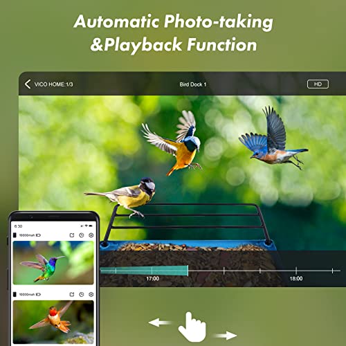 Bird Feeder with Camera,Smart Bird Feeder Camera Auto Capture Birds and Notify,IP65 Rainproof 1080P HD Full Color Night Vision Bird House Camera,Free 32G SD Card, Ideal Gift for bird lovers