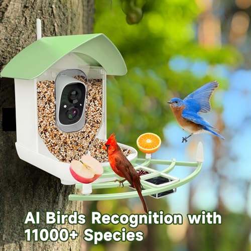 Fazoxo Bird Feeder with Camera, Smart AI Bird Breed Recognition, Birds Motion Detection with Real-Time Notice, Auto Capture Bird Watching WiFi Camera, Solar-Powered Outdoor Charging Bird House,Green