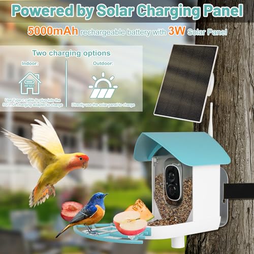 Bird Feeder with Camera, Smart Bird Feeder with Solar Panel, AI Identify, Bird House with 5000mAh Wrieless Camera, Auto Capture Bird Videos, 1080P HD, Wifi, Camera Bird Feeders for Bird Lovers