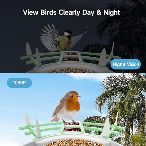 Fazoxo Bird Feeder with Camera, Smart AI Bird Breed Recognition, Birds Motion Detection with Real-Time Notice, Auto Capture Bird Watching WiFi Camera, Solar-Powered Outdoor Charging Bird House,Green
