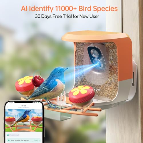 Adorbee Smart Bird Feeder with Camera: Solar Powered 1080P WiFi Wireless Outdoor Bird Watcher - Motion activated Auto AI Identify Capture Image Video - Ideal Gift for Bird Lovers and Wildlife Watching