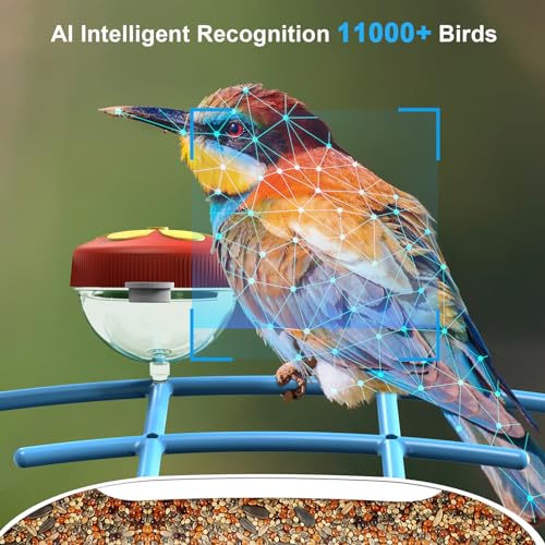 BROAIMX Smart Bird Feeder with Camera, AI Identify 11000+ Bird Species, Bird Watching Camera, Auto Capture Bird Videos & APP Instant Notifications, Bird House with Built-in Two-Way Microphone