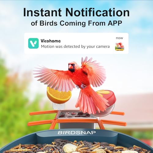 birdsnap® PAV - Smart Bird Feeder with Camera, 5 DIY Add-ons & 64G SD Card Auto Record Bird Video Bird House for Outside, AI Identify Bird Auto Capture with Solar Panel, Ideal Gift for Bird Lover