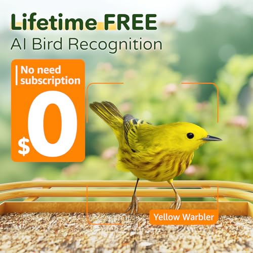 Bilantan BirdHi Mag- Metal Smart Bird Feeder with Camera Solar Powered, Lifetime Free AI Bird Feeder Camera 2.5K Motion Activated, Wireless Live Video Bird Feeder Wireless for Outdoors Pole Mount