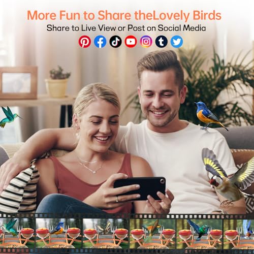 Adorbee Smart Bird Feeder with Camera: Solar Powered 1080P WiFi Wireless Outdoor Bird Watcher - Motion activated Auto AI Identify Capture Image Video - Ideal Gift for Bird Lovers and Wildlife Watching