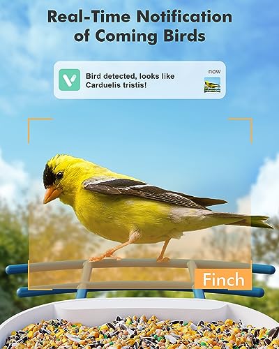 Dzees Smart Bird Feeder with Camera, Bird Feeder Camera Wireless Outdoor, AI Identify Bird Species, Auto Capture Bird Videos, 1080P HD Bird Camera with Solar Powered, SD&Cloud, Ideal Gift for Parents