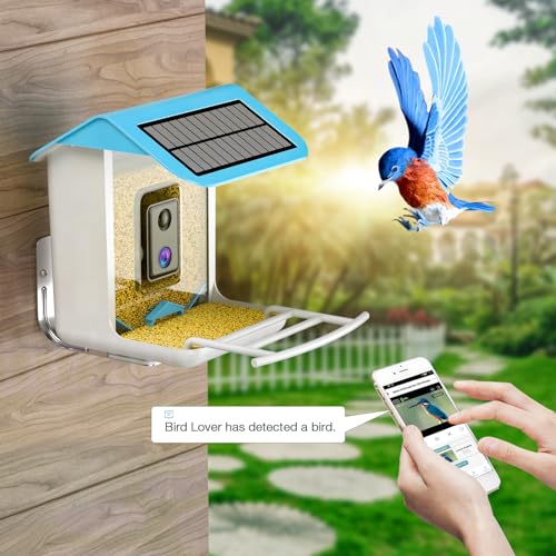 isYoung Smart Bird Feeder with Camera, Free AI Forever, Identify Bird Species, Solar Powered, Auto Capture & Notify, Ideal Gift for Bird Lovers