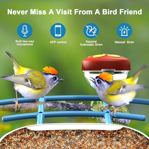 BROAIMX Smart Bird Feeder with Camera, AI Identify 11000+ Bird Species, Bird Watching Camera, Auto Capture Bird Videos & APP Instant Notifications, Bird House with Built-in Two-Way Microphone
