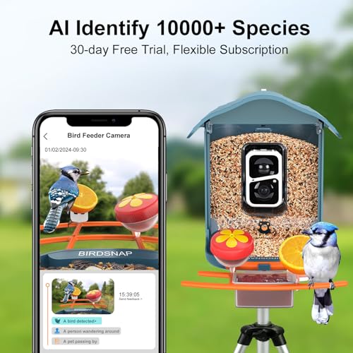birdsnap® PAV - Smart Bird Feeder with Camera, 5 DIY Add-ons & 64G SD Card Auto Record Bird Video Bird House for Outside, AI Identify Bird Auto Capture with Solar Panel, Ideal Gift for Bird Lover