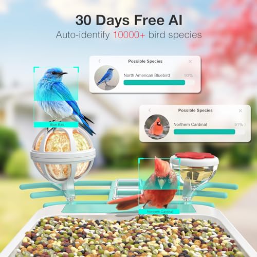 Farmice Bird Feeder with Camera, Smart Bird Feeder Camera with AI Recognition, Capture Birds Video and Notify, Solar Powered Bird Camera Feeder for outside