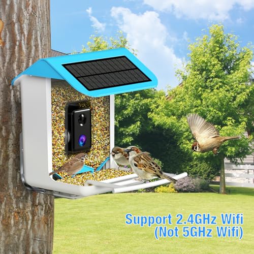 isYoung Smart Bird Feeder with Camera, Free AI Forever, Identify Bird Species, Solar Powered, Auto Capture & Notify, Ideal Gift for Bird Lovers