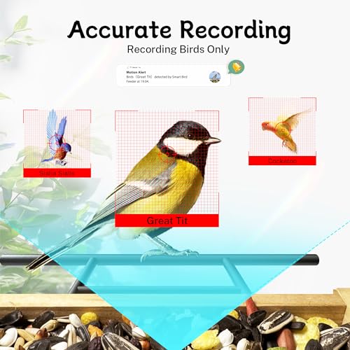 TT Nature Bird Feeder with Camera, Upgraded 1.5L Smart Bird Feeder with AI Identify for 10000 Plus Bird Species, Auto Capture Bird & Real-time Notifications, Ideal Gift for Bird Lovers (Iron Roof)