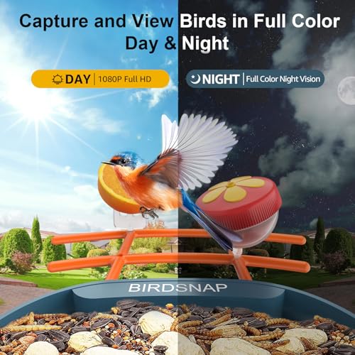 birdsnap® PAV - Smart Bird Feeder with Camera, 5 DIY Add-ons & 64G SD Card Auto Record Bird Video Bird House for Outside, AI Identify Bird Auto Capture with Solar Panel, Ideal Gift for Bird Lover