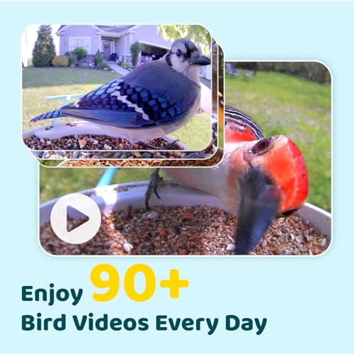 NETVUE Birdfy® AI Smart Bird Feeder with Camera Solar Powered, Lifetime AI Auto Capture Each Bird Come & Identify 6000+ Bird Species, Cloud Store Bird Videos & Birdwatching On Live, Ideal Gift (Blue)