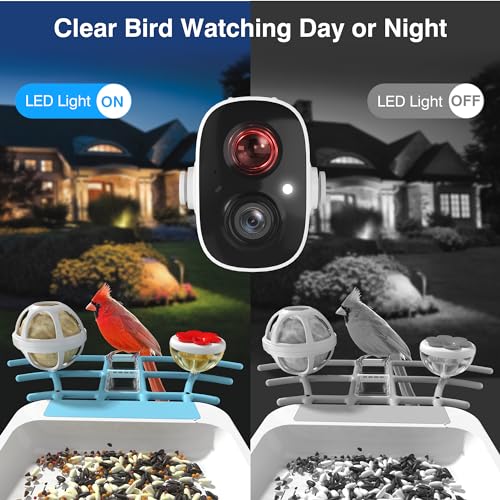 PETCAL Smart Bird Feeder, 1296P HD AI Identify Smart Bird Feeder with Camera, Auto Capture Bird Videos & Motion Detection Camera Solar Bird Feeder for Outside for Bird Lovers Gift