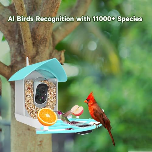 Gyozol Smart Bird Feeder with Camera, AI Identify Bird Breed, Solar-Powered WiFi 1080P Live Camera, Auto Capture Backyard Garden Bird Watching, Motion Detection, Cloud and SD Card Storage, Blue