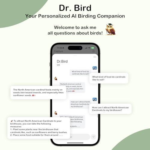 Camojojo Bird Feeder with Camera of 32MP Photo & 4K Video, Smart Bird Feeder with AI Identify, 10000mAh Built-in Battery, Full-Color Night view, 32 SD, IP66, 2.4G/5G Dual WIFI Wireless, Live Function