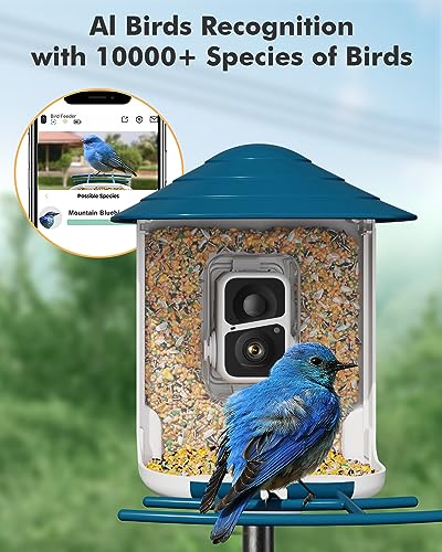 Dzees Smart Bird Feeder with Camera, Bird Feeder Camera Wireless Outdoor, AI Identify Bird Species, Auto Capture Bird Videos, 1080P HD Bird Camera with Solar Powered, SD&Cloud, Ideal Gift for Parents