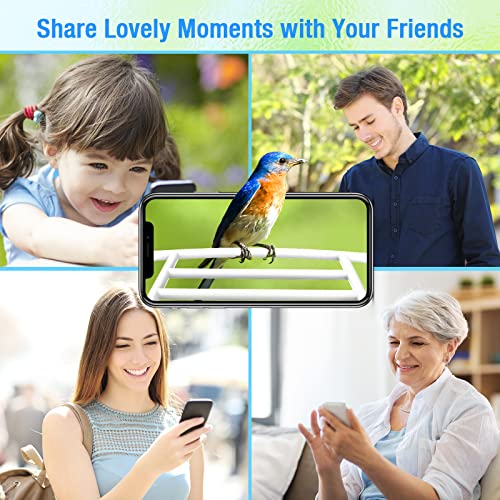 isYoung Smart Bird Feeder with Camera, Free AI Forever, Identify Bird Species, Solar Powered, Auto Capture & Notify, Ideal Gift for Bird Lovers