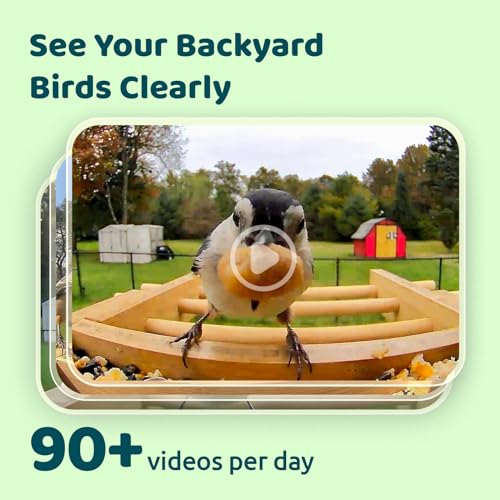 NETVUE Birdfy® AI Smart Bird Feeder Camera Solar Powered, Lifetime AI Identify 6000+ Bird Species & Motion Detection, Eco-friendly & Renewable Upgraded Bamboo Wood Bird Feeder Camera, Ideal Present