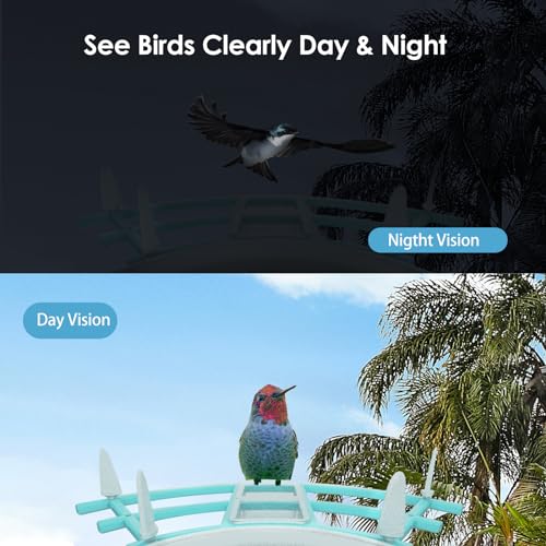 Gyozol Smart Bird Feeder with Camera, AI Identify Bird Breed, Solar-Powered WiFi 1080P Live Camera, Auto Capture Backyard Garden Bird Watching, Motion Detection, Cloud and SD Card Storage, Blue