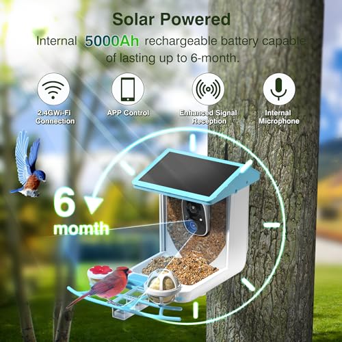 PETCAL Smart Bird Feeder, 1296P HD AI Identify Smart Bird Feeder with Camera, Auto Capture Bird Videos & Motion Detection Camera Solar Bird Feeder for Outside for Bird Lovers Gift