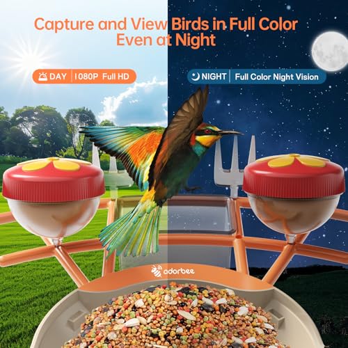 Adorbee Smart Bird Feeder with Camera: Solar Powered 1080P WiFi Wireless Outdoor Bird Watcher - Motion activated Auto AI Identify Capture Image Video - Ideal Gift for Bird Lovers and Wildlife Watching