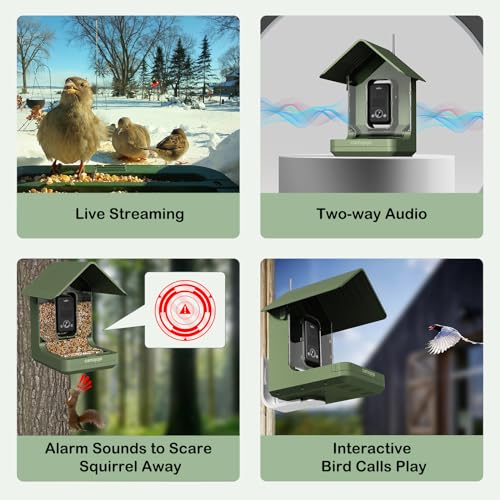 Camojojo Bird Feeder with Camera of 32MP Photo & 4K Video, Smart Bird Feeder with AI Identify, 10000mAh Built-in Battery, Full-Color Night view, 32 SD, IP66, 2.4G/5G Dual WIFI Wireless, Live Function
