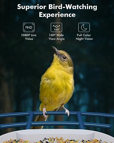 Dzees Smart Bird Feeder with Camera, Bird Feeder Camera Wireless Outdoor, AI Identify Bird Species, Auto Capture Bird Videos, 1080P HD Bird Camera with Solar Powered, SD&Cloud, Ideal Gift for Parents