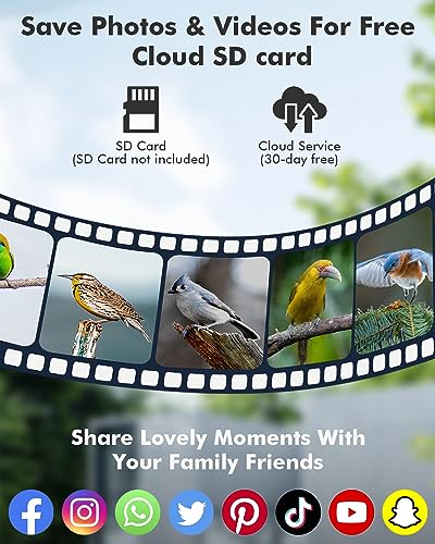 Dzees Smart Bird Feeder with Camera, Bird Feeder Camera Wireless Outdoor, AI Identify Bird Species, Auto Capture Bird Videos, 1080P HD Bird Camera with Solar Powered, SD&Cloud, Ideal Gift for Parents
