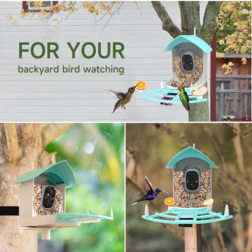 Gyozol Smart Bird Feeder with Camera, AI Identify Bird Breed, Solar-Powered WiFi 1080P Live Camera, Auto Capture Backyard Garden Bird Watching, Motion Detection, Cloud and SD Card Storage, Blue
