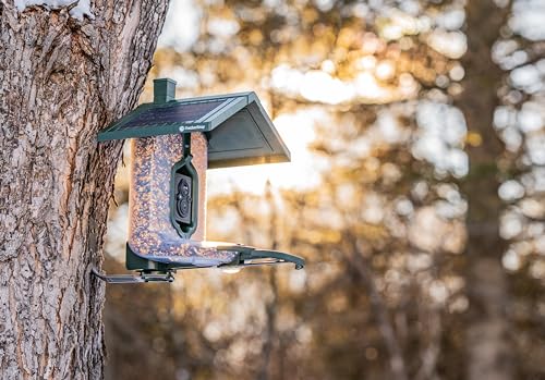 FeatherSnap Scout Wi-Fi Solar Powered Smart Bird Feeder - Automatically Captures HD Pictures and Videos! Best Gift for Bird Watchers! Dual Seed chamber - Feather Snap