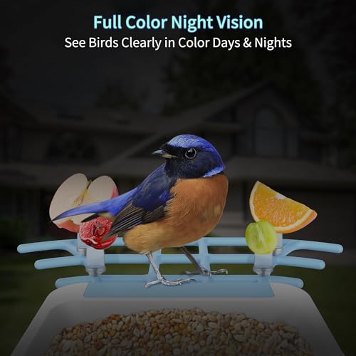 Twesync Smart Bird Feeder with Camera Solar Powered, 1080P HD AI Identify Wild Bird Feeder Camera 5000mAh, Auto Capture Bird Videos & Instant Notifications, Ideal Gift for Bird Lover