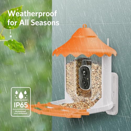Smart Bird Feeder with Camera Solar Powered - Wireless Outdoor Bird Feeder Auto Capture & Identify 11,000+ Bird Species, 1080p HD View, Instant Alert, Ideal Bird Watching Camera for Bird Lover