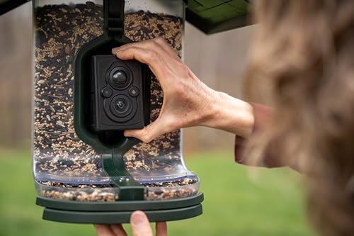 FeatherSnap Scout Wi-Fi Solar Powered Smart Bird Feeder - Automatically Captures HD Pictures and Videos! Best Gift for Bird Watchers! Dual Seed chamber - Feather Snap
