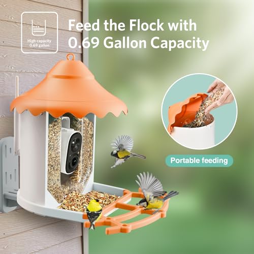 Smart Bird Feeder with Camera Solar Powered - Wireless Outdoor Bird Feeder Auto Capture & Identify 11,000+ Bird Species, 1080p HD View, Instant Alert, Ideal Bird Watching Camera for Bird Lover