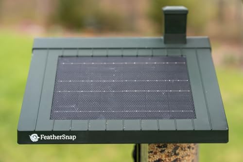 FeatherSnap Scout Wi-Fi Solar Powered Smart Bird Feeder - Automatically Captures HD Pictures and Videos! Best Gift for Bird Watchers! Dual Seed chamber - Feather Snap